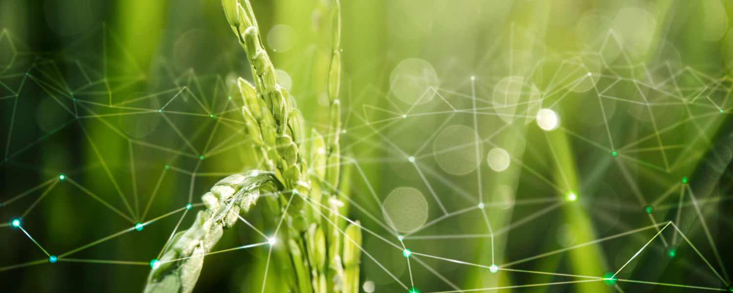 Digital transformation in agriculture in Vietnam

